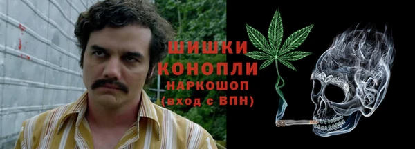 соль ск Козельск