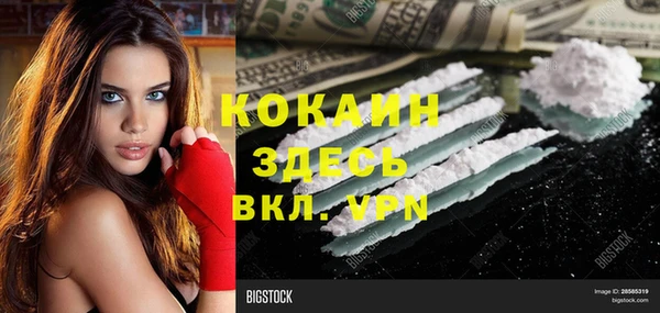 соль ск Козельск