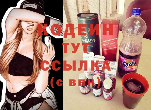 соль ск Козельск