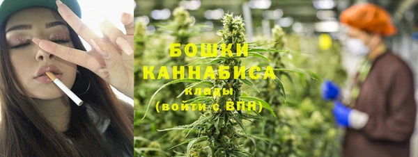 соль ск Козельск