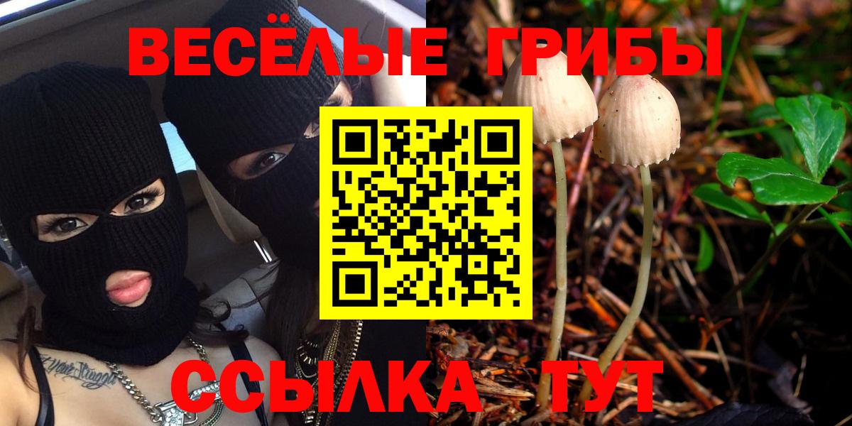 Псилоцибиновые грибы мухоморы Тавда